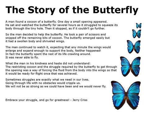 The Magic Flying Butterfly: From Myth to Reality